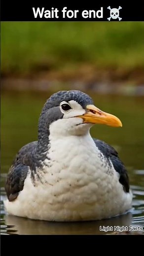 Amazing Bird Facts You Didn’t Know 🐦 | Mind Blowing Birds Facts | Animal Facts