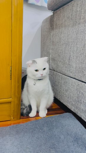 271K views · 12K reactions | အရင်နှစ်တုန်းက ဆွိဆွိလေး ဆော့ရင်းနဲ့...