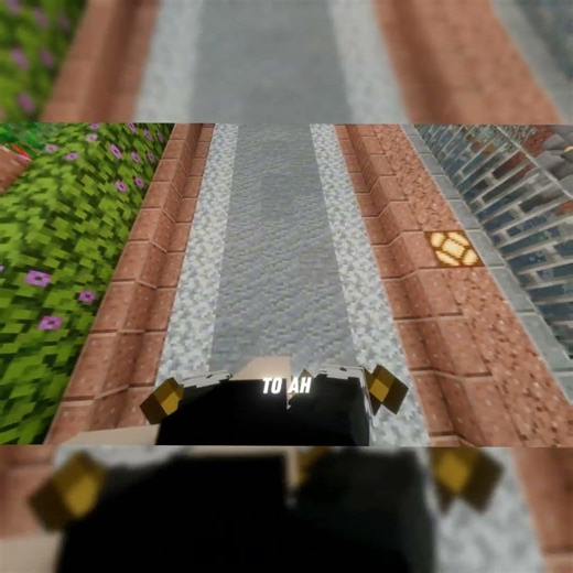 Bro Find Flying Glitch #minecraft