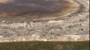 The unique salt baths at Iztuzu beach, Dalyan Turkey are about 2,000 years old and belonged to the city of Kaunos.