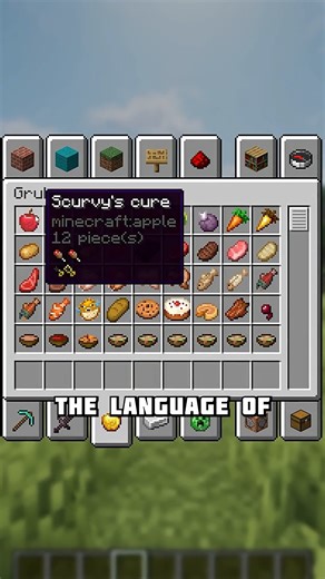 Pirate Language in Minecraft #reels #minecraft | Vivily Gaming