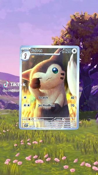 🌲 Furret #0162 🌲 --------------------------------------------------------------- Yo! Champ in the making! Although todays pokemon we will be looking at is Furret, we will be appreciating my favourite TCG artist REND! REND has done some amazing work over the last couple of years starting with the illustration 2022 contest Arcanine, REND has continued to develop their work and is now illustrating the SIR from Black Bolt/White Flare 💕 I love their real world depictions of Pokemon and for me, REN