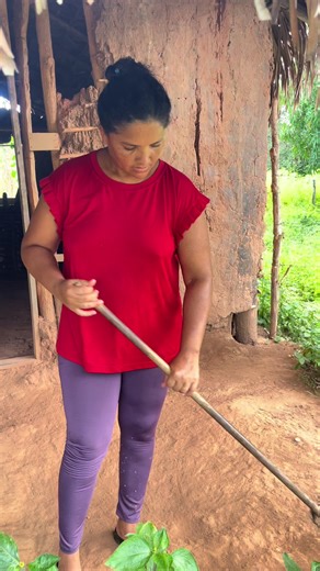 Não quer ir não #viral #interior