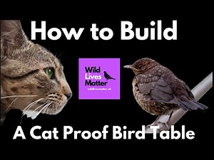 How To Build A Cat Proof Bird Table