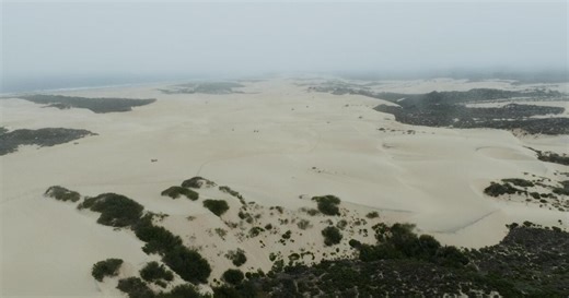Coastal Stories of the Guadalupe Dunes