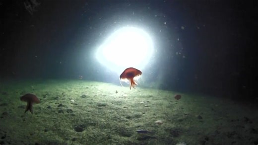 Our Mission - NOAA Ocean Exploration