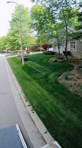 The Ultimate Lawn Clean-Up Challenge!