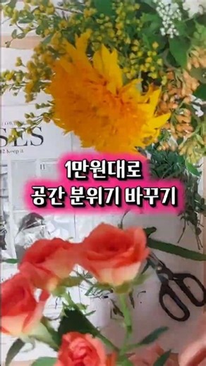 1만원대로 공간 분위기가 바뀌는 테디베어 해바라기 꽃다발🌻