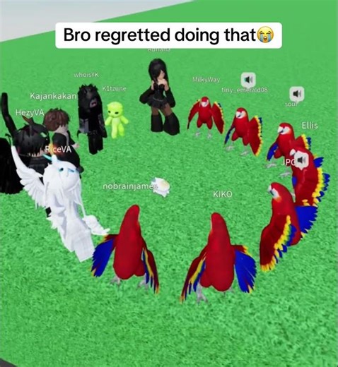 There screams😭 #roblox #vc #trolling #mochi #cat #funny #shorts