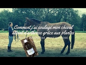 How I Relieved My Horse's Osteoarthritis with Plants