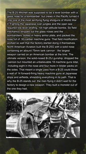 They took out the glass nose and put in a tank cannon and a wall of machine guns instead