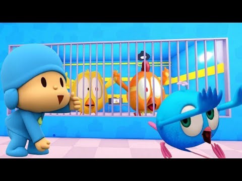 Chicky chukpa and Pingoo bird Plays | Pocoyo prison run roblox | #pingoobird #chukpa #chicky #roblox