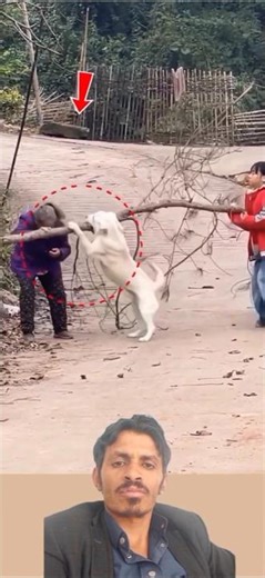 ثوانٍ من الوفاء الصافي..شاهد كيف يشعر الحيوان بتعب صاحبه ويقرر التدخل في اللحظة المناسبة ماشاء الله