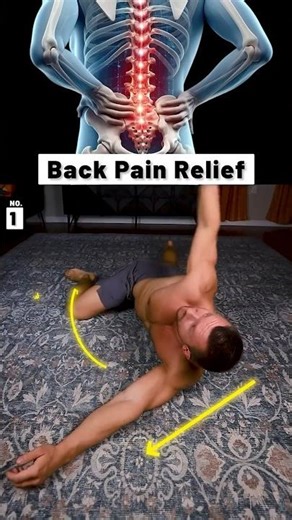 4 Low Back Exercises for FAST Relief!
