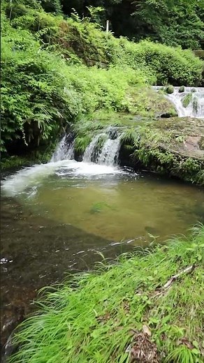 雨上がりの【甌穴(おうけつ】鎌倉温泉の散歩道🎶 #shorts #甌穴 #甌穴群 #ジオパーク
