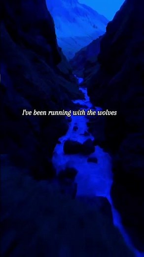 Song Lyrics Part 43|| Wolves-Selena Gomez & Marshmello