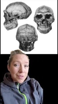 New study finds Homo erectus and Denisovans may have interbred