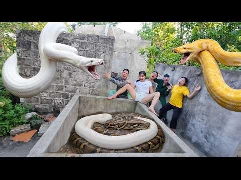 The soldiers used high-tech snake detectors to locate the giant white python