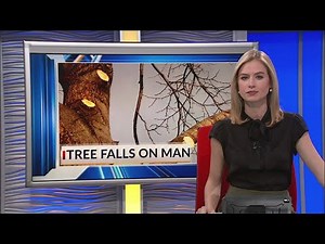 Man dies in tree cutting accident