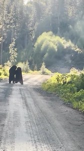 It was apparently about a woman ... Crédit: https://www.facebook.com/JimShockeyFanPage | Jonathan Blank Films