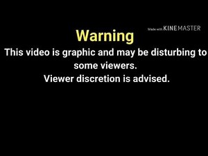 New saxi video hello app