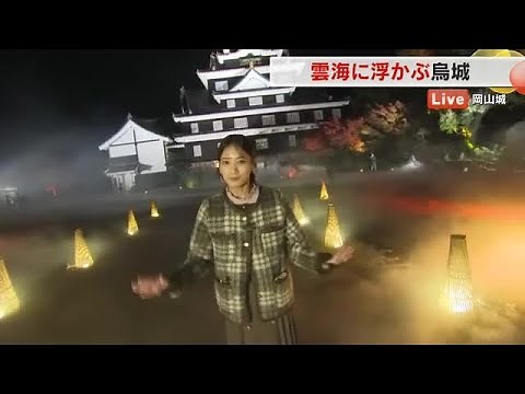 【動画】晩秋の名城を楽しむ…岡山城でライトアップインベント「秋の烏城灯源郷」始まる【岡山】｜FNNプライムオンライン