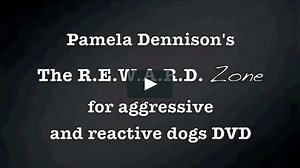 The Reward Zone for Aggressive & Reactive Dogs