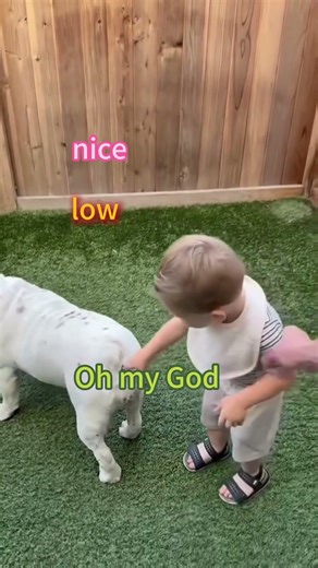 The FUNNIEST scare prank reactions 🤣🤣