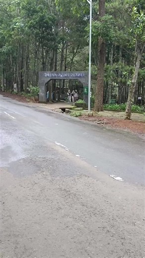 #fyp #foryou #driverstory #sorotan #CapCut