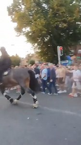 🇮🇪 Ireland vs England | Hooligans Video's