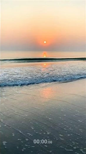 Meme eps 83 #memes #funny #shorts