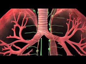 Lung Cancer Treatment Animation | Premier Hematology & Oncology