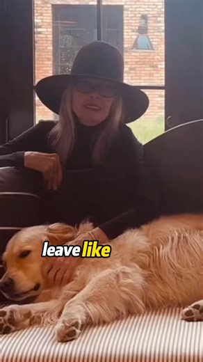 83K views · 10K reactions | RIP Diane Keaton More Than an Icon rip celebrity dianekeaton fyp | Celebrity Biographies 001 | Facebook