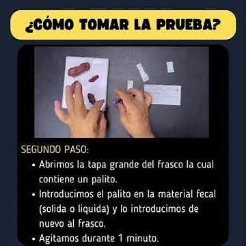 Prueba de Helicobacter pylori en Heces