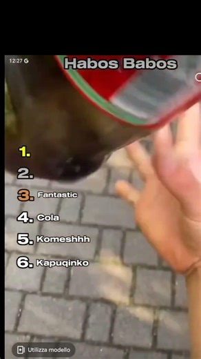 divertiamoci insieme#viral #seguimi #habosh babosh
