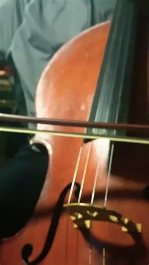 @halsey @THECHAINSMOKERS #closer #music #cello #pop #cover
