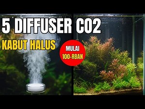5 Best Aquascape CO2 Diffuser Recommendations for 2025! (Dissolve CO2)!