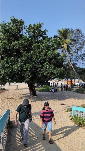 Exploring Colva Beach, Goa: Sun, Sand, and Coastal Charm!