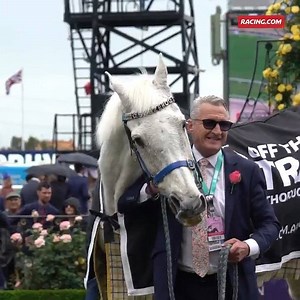 20K views · 2.8K reactions | We loved seeing Graham and Subbie putting smiles on peoples faces at Flemington... | Racing.com | Facebook
