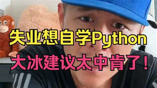 2026 还在纠结 Python前景？？大冰给年轻人的建议：迷茫？你没资格迷茫，抓紧时间学技术掌握技术！（人工智能/全栈开发/编程入门）