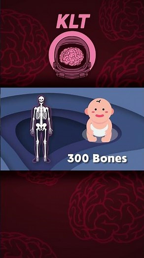 There Are 206 Bones In The Human Body! | KLT Anatomy #shorts