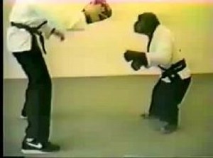 YouTube karate chimp funny fight amazing