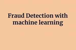 Capital One: Fraud Detection