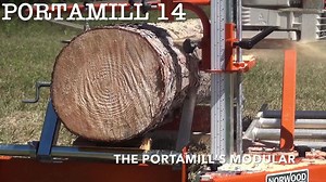 131K views · 54 reactions | Transform your chainsaw into a...