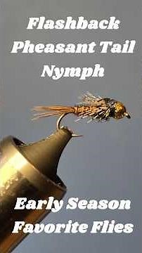 Flashback Pheasant Tail Nymph #flytying #flyfishing