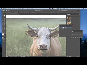 Adobe Illustrator CC 2020 - Making a cow graphic based on a photograph