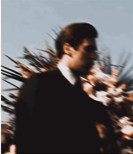 #michaelcorleone #alpacino #thegodfather #fyp | michael corleone