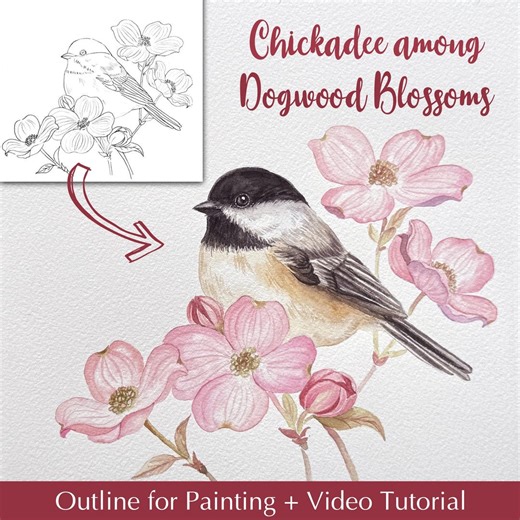 Chickadee Watercolor Painting Template | Dogwood Blossoms Outline (PDF Pattern) Coloring Bird - Etsy