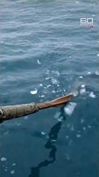Recreating the exact Antarctic expedition of Ernest Shackleton in 1916 | 60 Mins Australia