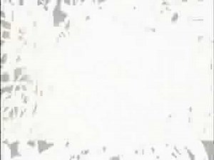 PS2 新世紀エヴァンゲリオン2 CM